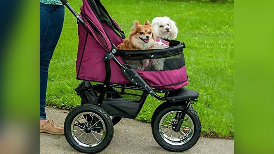 It may come as a shock that there are people who take their dogs to spas, tote them around in strollers and baby carriers, and refer to them as their children. It may come as a shock that there are people who take their dogs to spas, tote them around in strollers and baby carriers, and refer to them as their children.