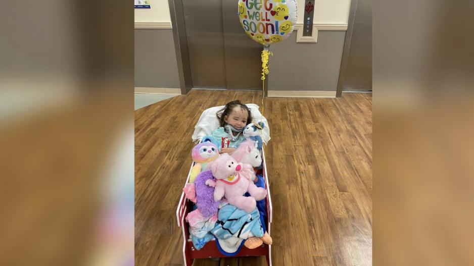 Mya is Released from the Hospital Mya is Released from the Hospital