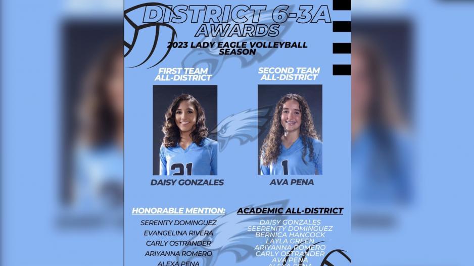 TLCA Lady Eagles Volleyball TLCA Lady Eagles Volleyball