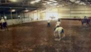 Horsemanship Summer Camps - San Angelo