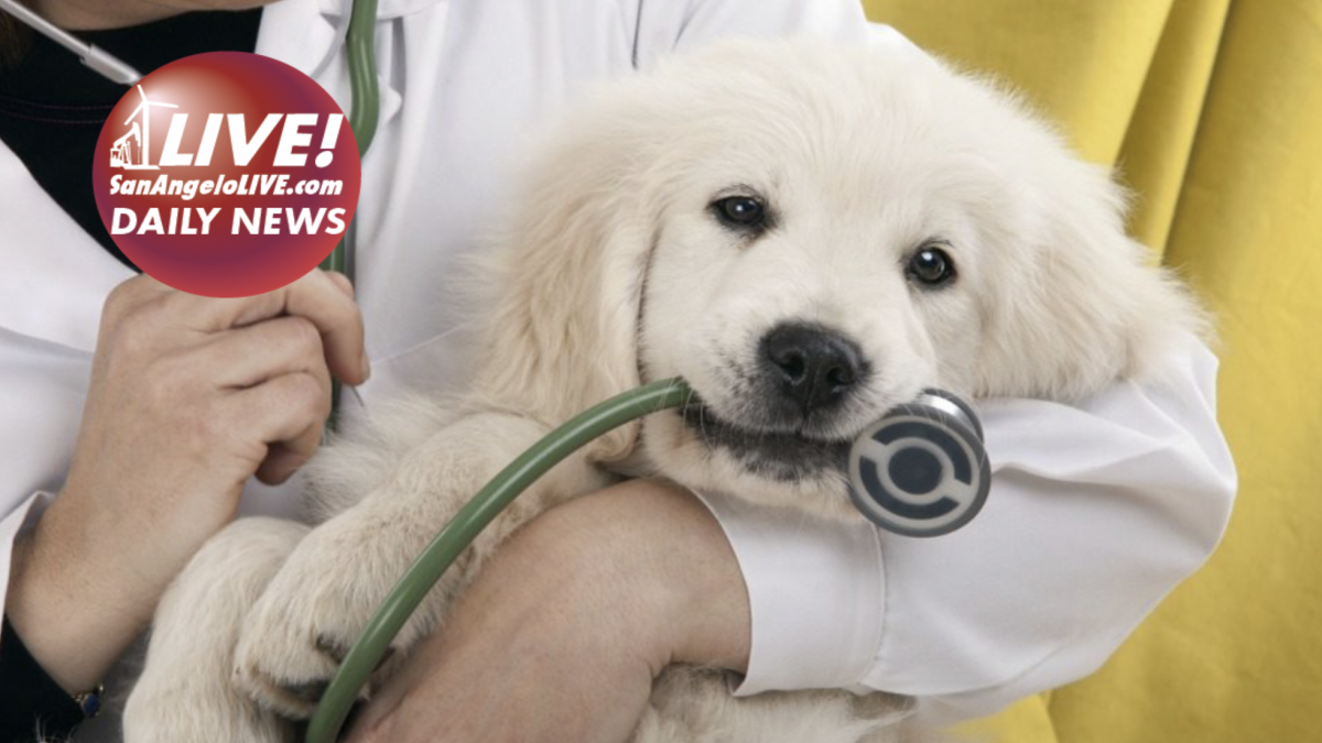 LIVE! Daily News Southside Animal Hospital Announces Big Change