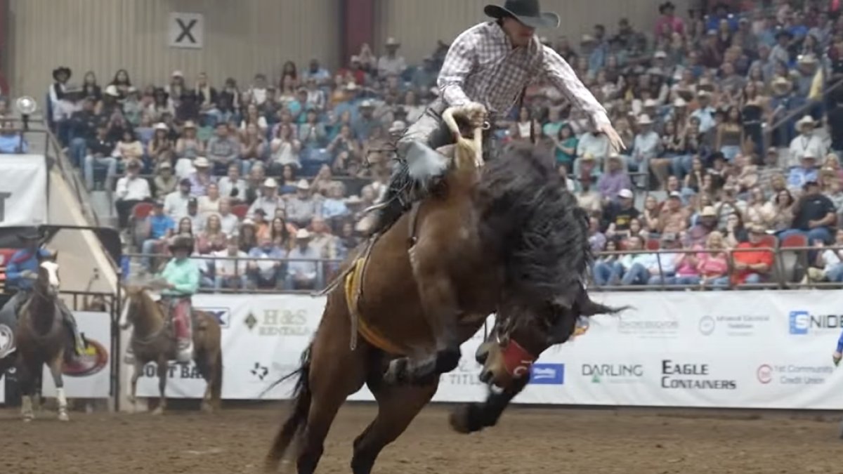 LIVE! Daily News | It's a LIVE! Rodeo Special