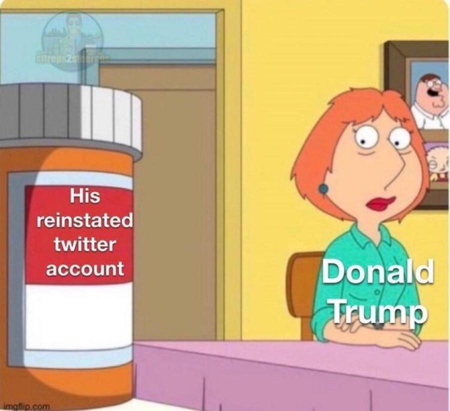 Elon Musk trolls former President Donald Trump with memes like this on Nov. 20, 2022 Elon Musk trolls former President Donald Trump with memes like this on Nov. 20, 2022