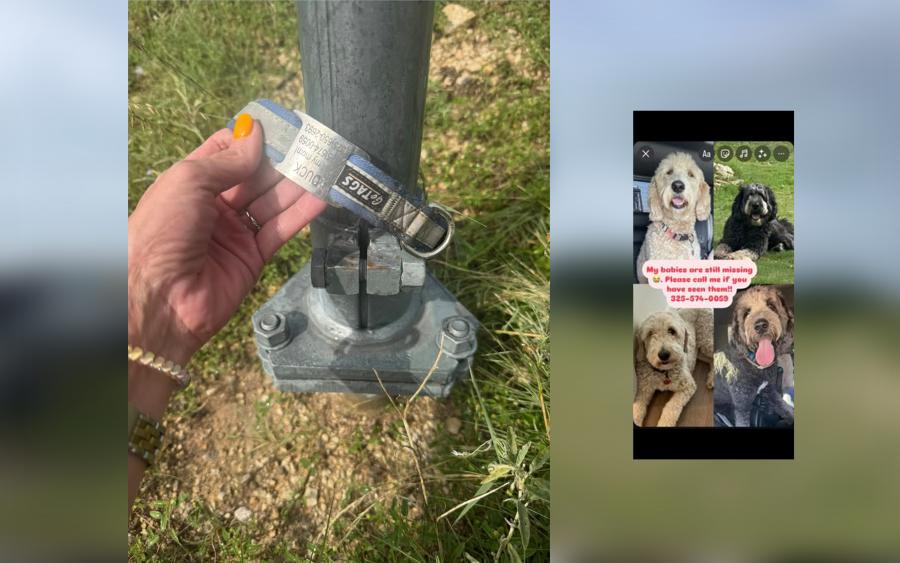 Christoval Woman Seeks Answers After Missing Dog’s Collar Found