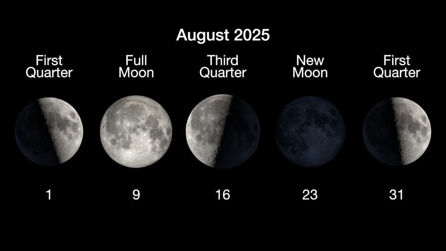 The phases of the Moon for August 2025. NASA/JPL-Caltech