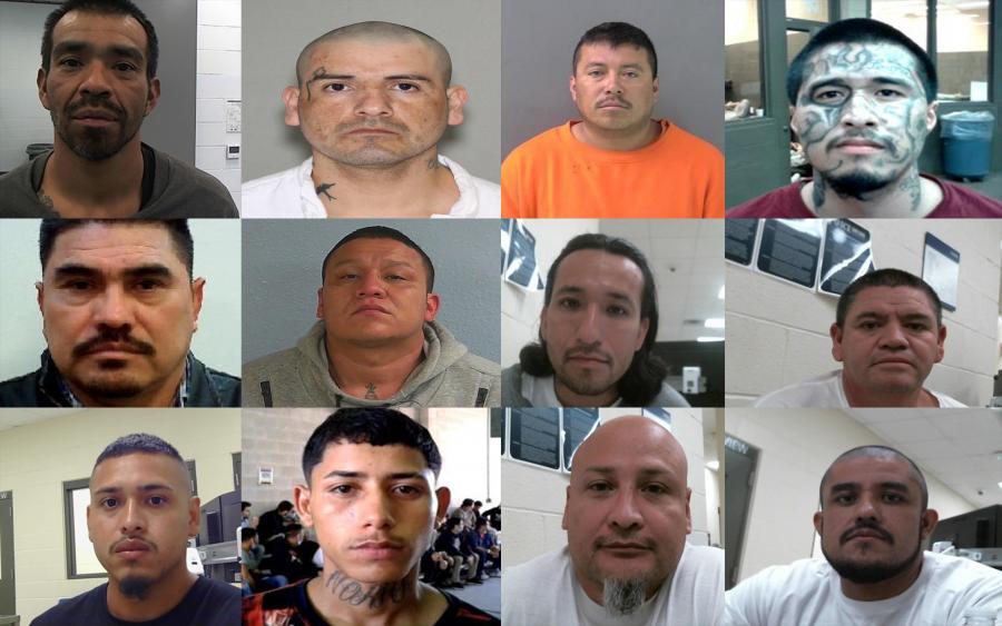 ICE Arrests 356 Gang Members in Houston