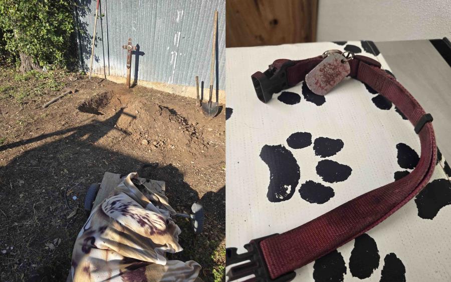 The owner of the dog killed in this week’s neighborhood animal attack shared images of the burial site and the pet’s collar. The owner of the dog killed in this week’s neighborhood animal attack shared images of the burial site and the pet’s collar.