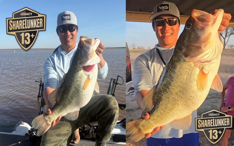 Lawrence Lee of Tolar reeled in two Legacy Class fish Tuesday, bringing his lifetime total to four, with three of those catches recorded during the 2026 collection season. It’s the first time in program history that an angler has caught three 13-pound or heavier Legacy Class fish in a single season.