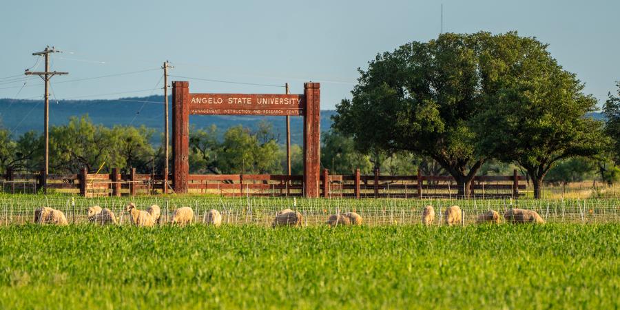 Angelo State MIR Center