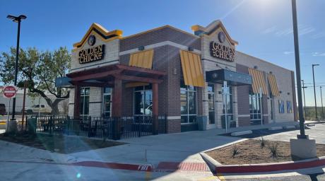 Big Spring Golden Chick