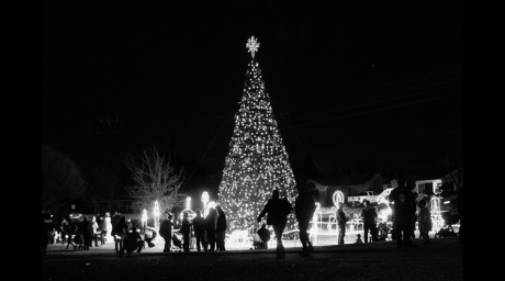 Midland Christmas Tree in 2019 (Contributed / City of Midland)