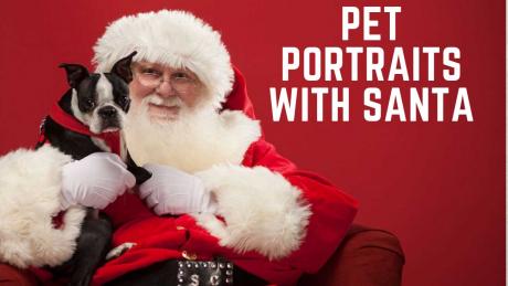 Pet portraits with Santa at the Railway Museum