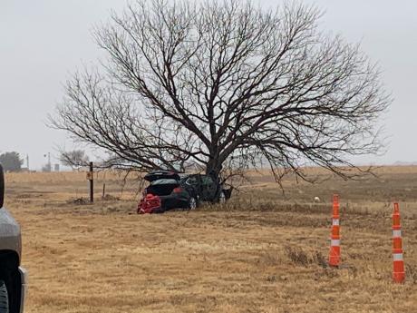 Car Crashes Into Only Tree for Miles (LIVE! Photo/Matt Trammell)