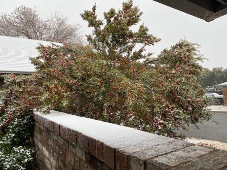 Snowmageddon 2020 New Year's Eve (LIVE! Photo/Yantis Green)