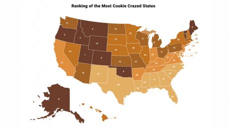 Cookie Report - TOP Agency