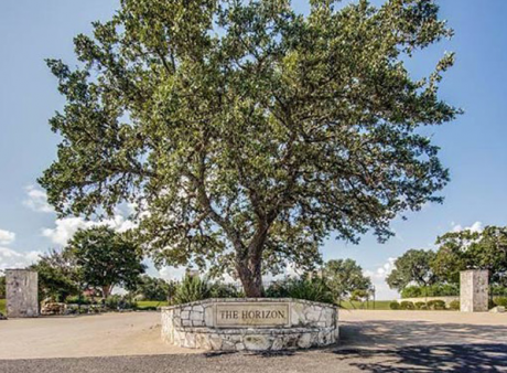 The Horizon Subdivision