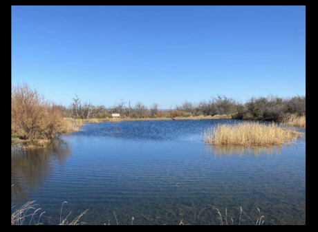 300 Trout Stocked at State Park