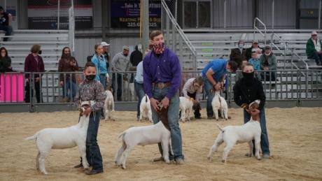 Tom Green County Goat Show