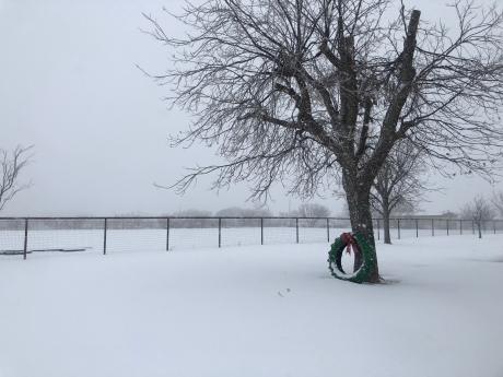 2021 San Angelo Blizzard Valentine's Day (LIVE! Photo/Sonia Ramirez)
