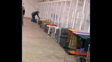 Cold Weather Animal Shelter