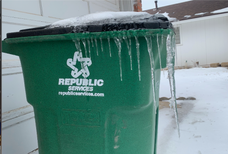 Frozen Republic Trash Can