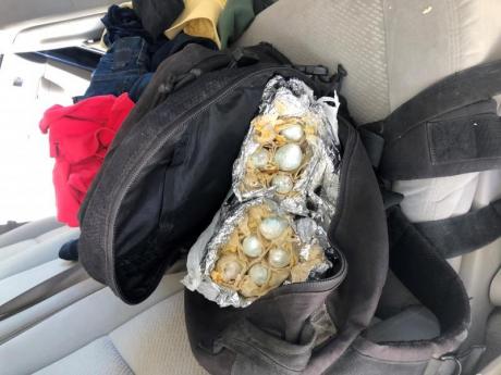 Fentanyl Burrito (Contributed/CBP)