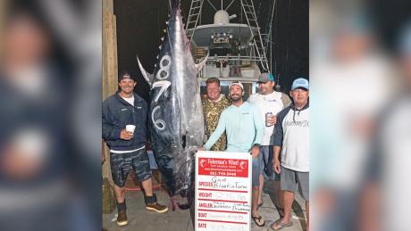 Texas Record Bluefish Tuna 10'1", 876 lbs.