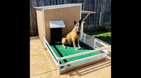 K-9 Duke
