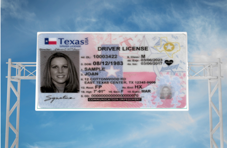 Sample Texas License