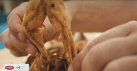 Fried Frog Legs