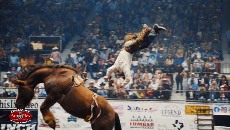 Bareback rider Will Lowe was hoofed in head.