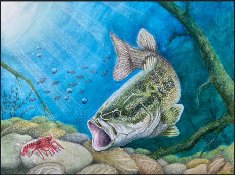 Fish Art by G. Can (Contributed/TPWD)