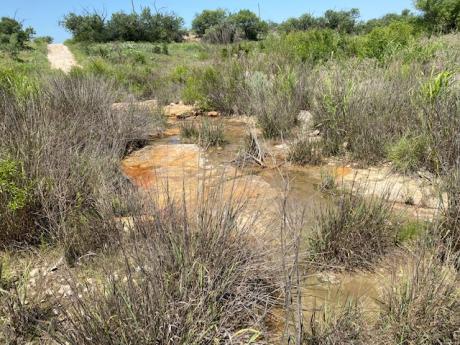 Water Flowing in the N. Concho River (LIVE! Photo/Yantis Green)