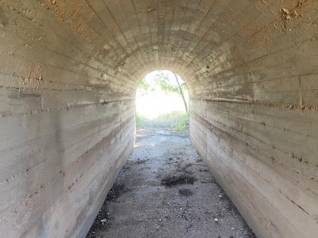 Abandoned Rail Road Tunnel State Park (LIVE! Photo/Yantis Green)