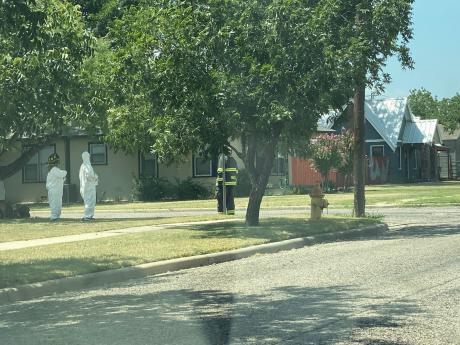 Bees Shut Down San Angelo Neighborhood (LIVE! Photo/James Bouligny)