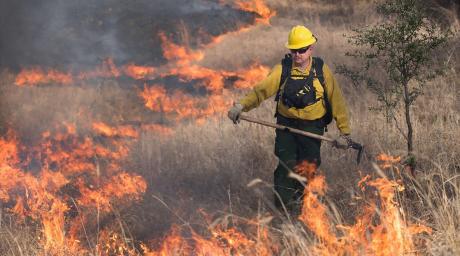 Chief Eddy Wood | Brownwood Police Department