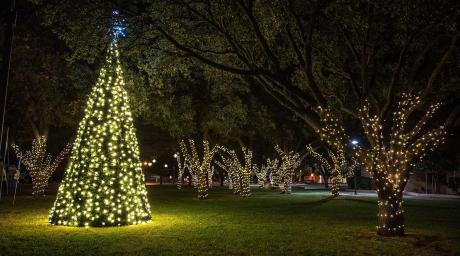Angelo State Annual Christmas Tree Lighting | Facebook