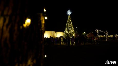 Angelo State Christmas Tree 2021