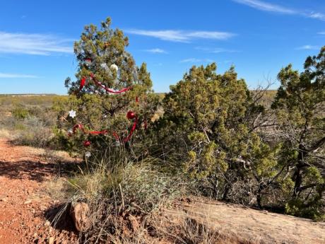 Merry Christmas from the Trail (LIVE! Photo/Yantis Green)
