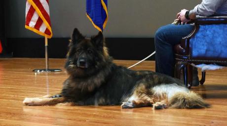 Nero | Dyess Ar Force Base