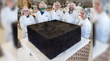 World's Largest Pot Brownie