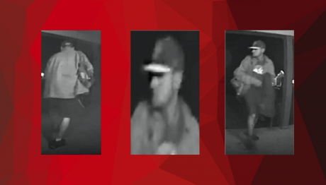 Wanted Theft Suspect