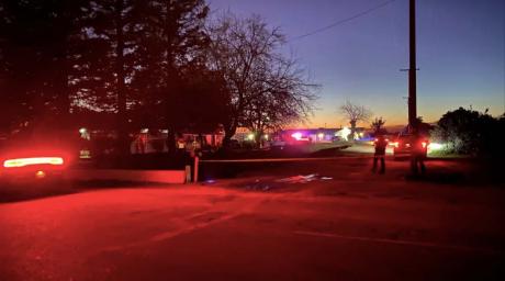 K-9 Stabbing | Credit: KSEE/KGPE