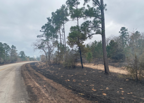 Rolling Pines Wildfire