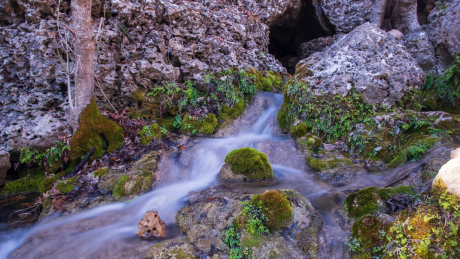 Honey Creek Ranch (Contributed/TPWD)