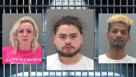 Judith Burt (L) Mason Fulton (M) William Carthorne (R)