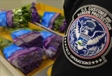 Border Agents Inspecting Valentines Day Flowers (Contributed/CBP)