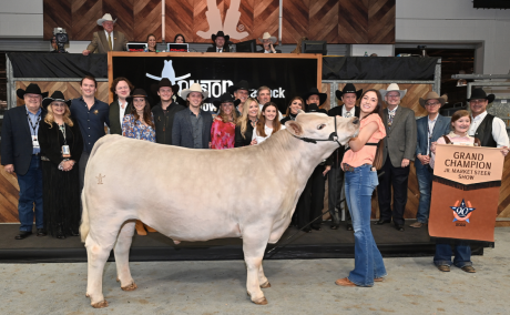 Grand Champ Steer at Rodeo Houston 2022 Record (Contributed/rodeohouston)