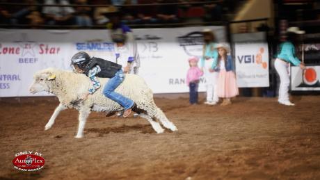Wall native Sawyer Bloodworth, 8, won the mutton bustin’ with a 92-point ride. 