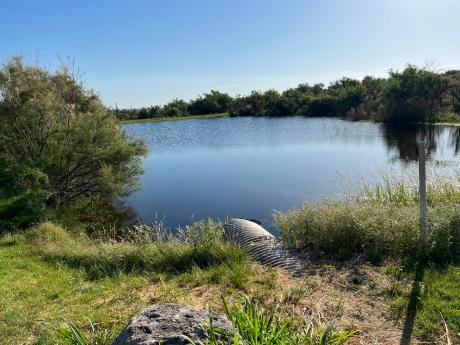 Javalina Pond San Angelo State Park June 2022 (LIVE! Photo/Yantis Green)